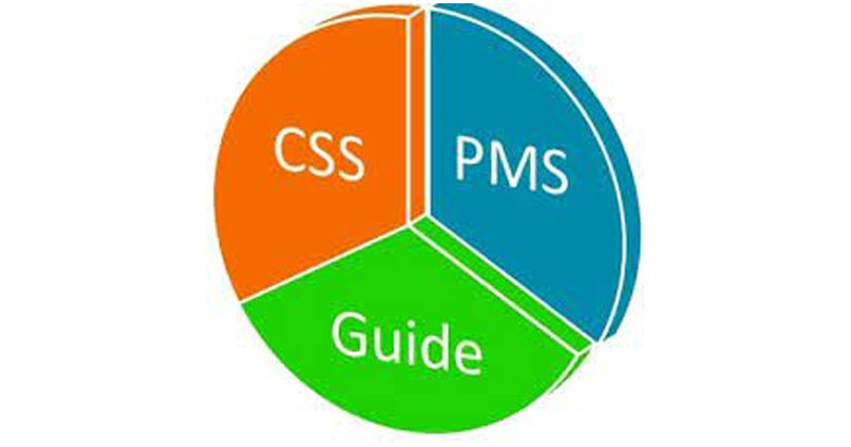 CSS PMS