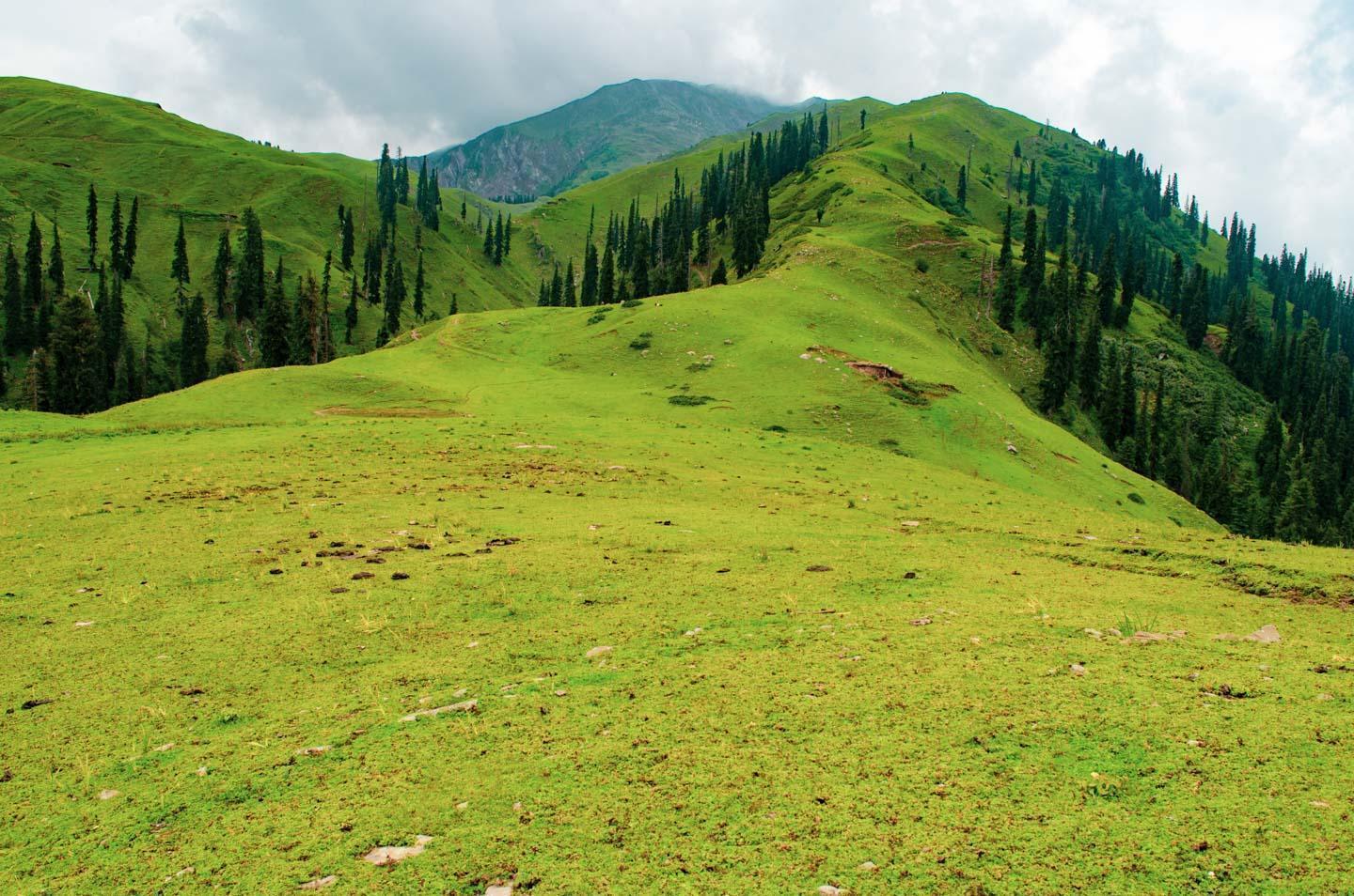 Shogran Siri Paye Tour